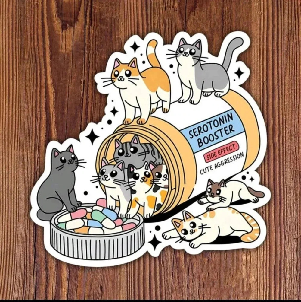 Cute cat serotonin kitty lady women's vinyl large sticker bumper decor laptop ar